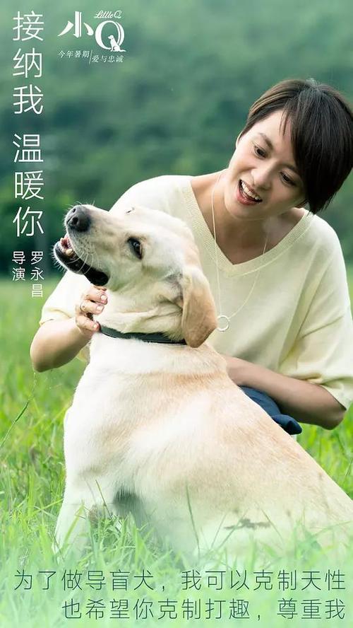 中佛罗里达大学学历认证办理